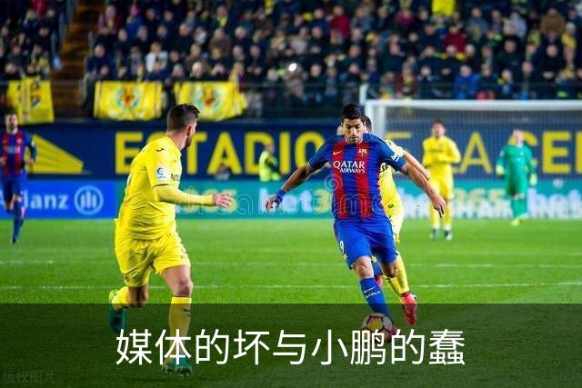 媒体的坏与小鹏的蠢