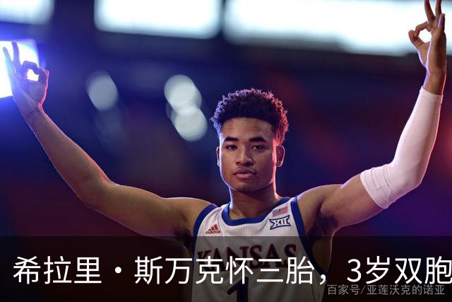 希拉里·斯万克怀三胎，3岁双胞胎每天追问圣诞到了吗