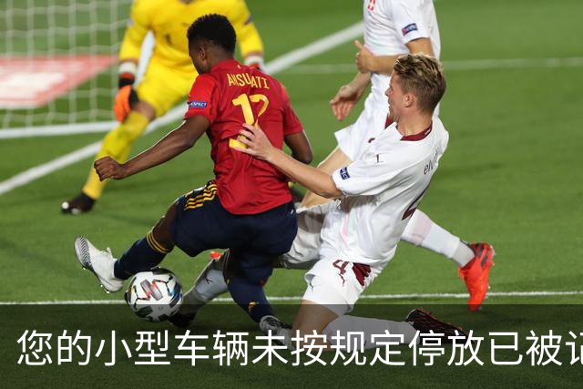您的小型车辆未按规定停放已被记录！